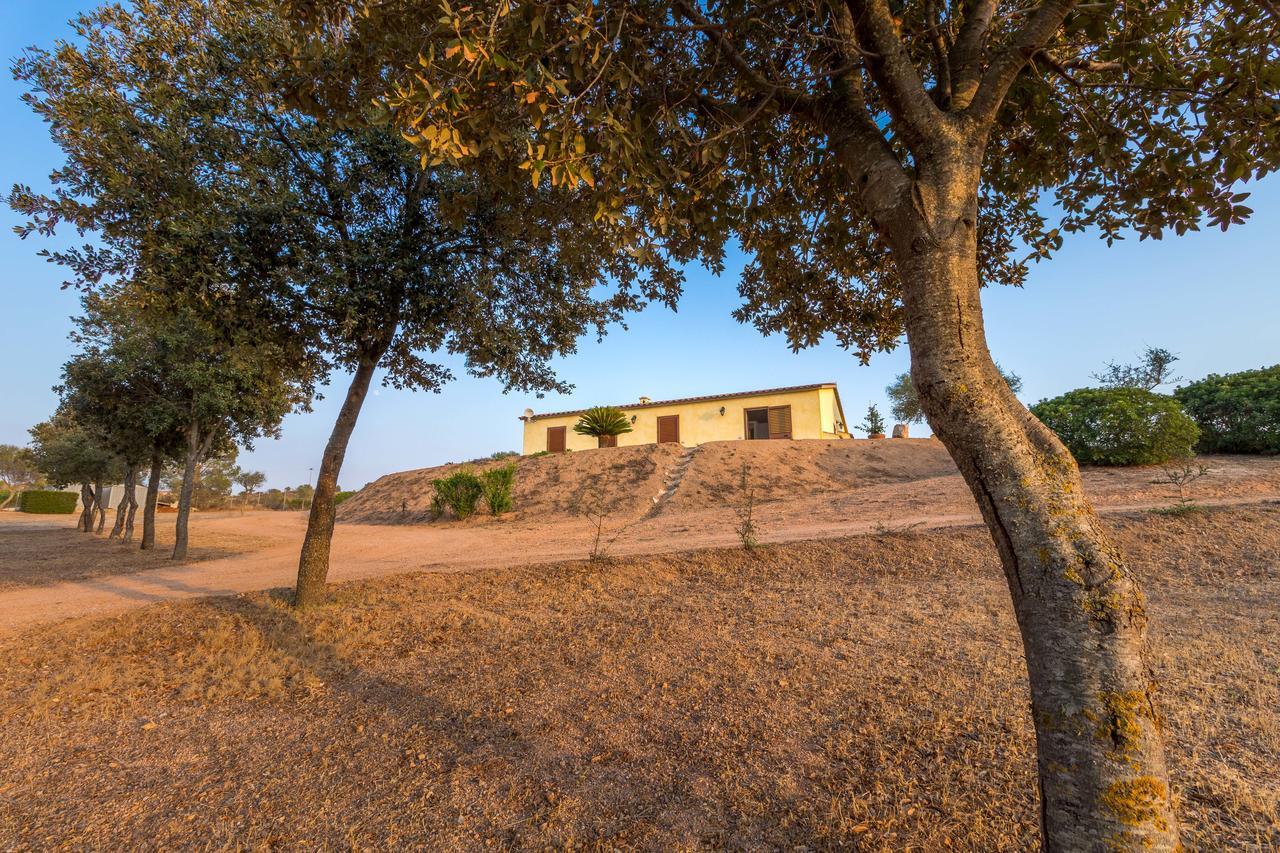 אולביה Molti Mari B&B Resort מראה חיצוני תמונה